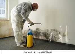 Mold Odor Removal Services in Beesleys Point, NJ